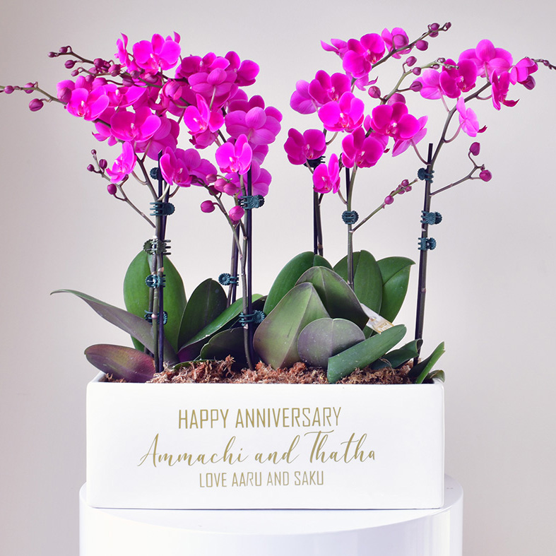 Personalised Orchids